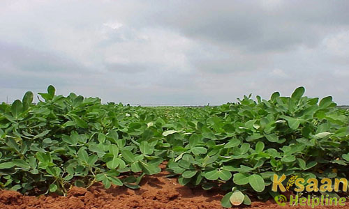 टीजी-37ए (TG-37A)